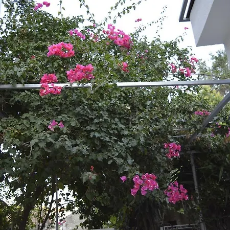 Apartment On The Sunny Side *