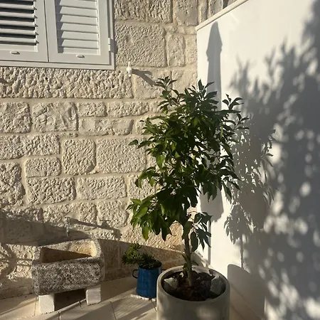 On The Sunny Side Apartment Korcula Town